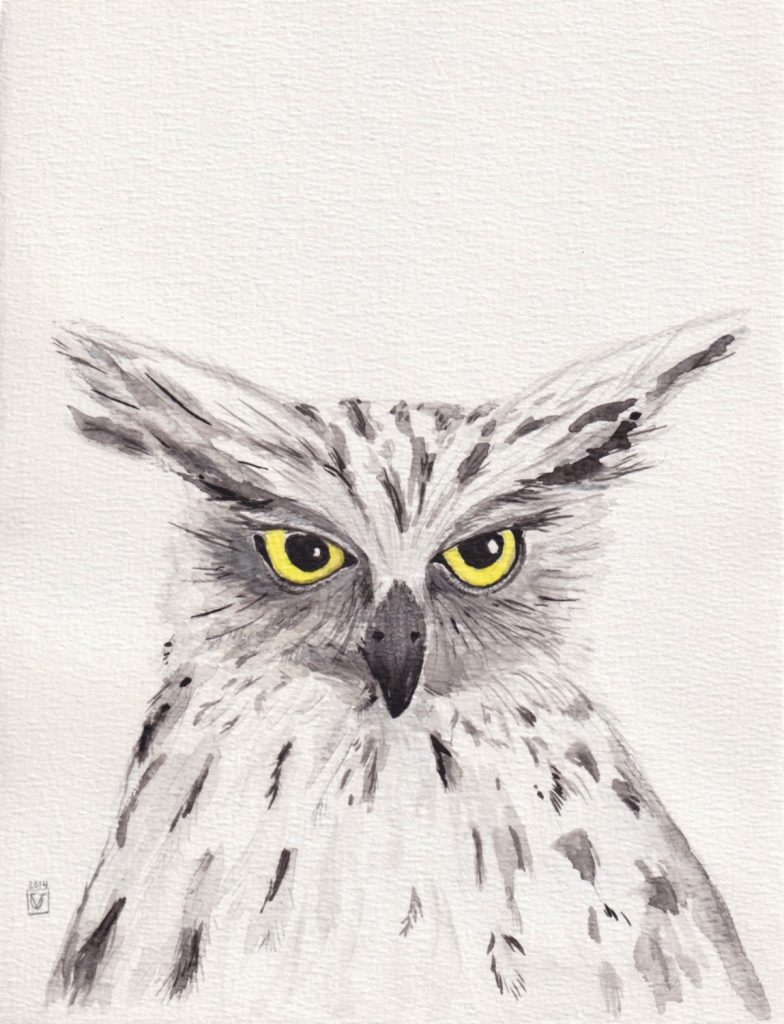 Owl 12, 2014. (17 x 23 cm) Watercolor, pen and ink. portrait of an owl